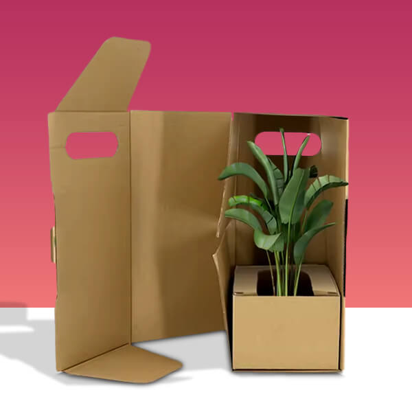 Personalized Plant Packaging Boxes