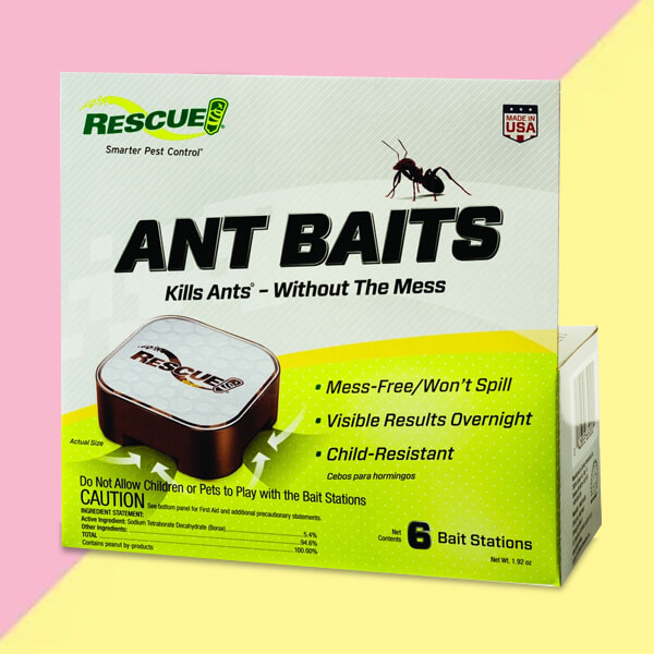 Custom Printed Ant Bait Boxes