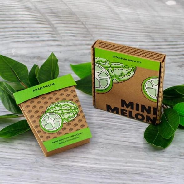 custom-watermelon-seed-boxes-with-logo