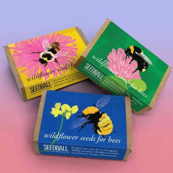 custom-wildflower-seed-boxes-wholesale