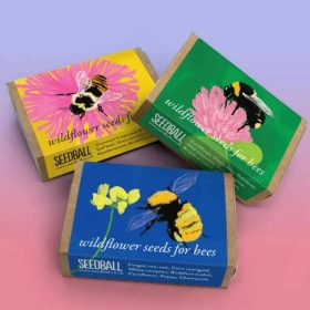 custom-wildflower-seed-boxes-wholesale