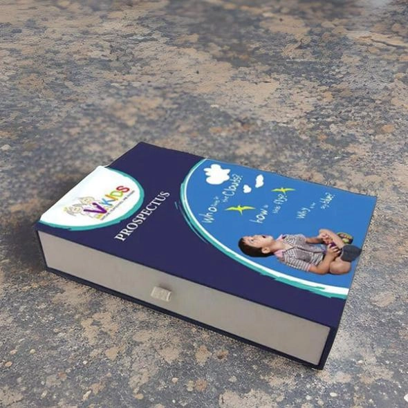 custom-printed-prospectus-boxes