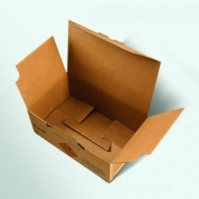 auto-lock-box