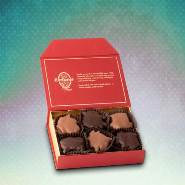 turtle-chocolate-boxes-with-logo