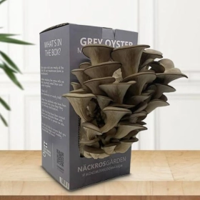 custom-mushroom-kit-packaging