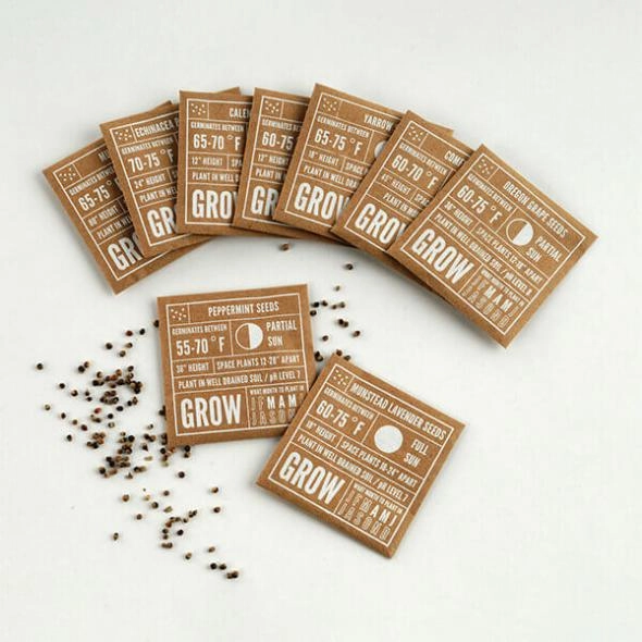 cbd-seed-boxes-packaging