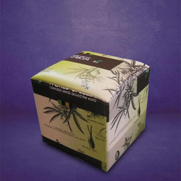 cannabis-seed-packaging-wholesale