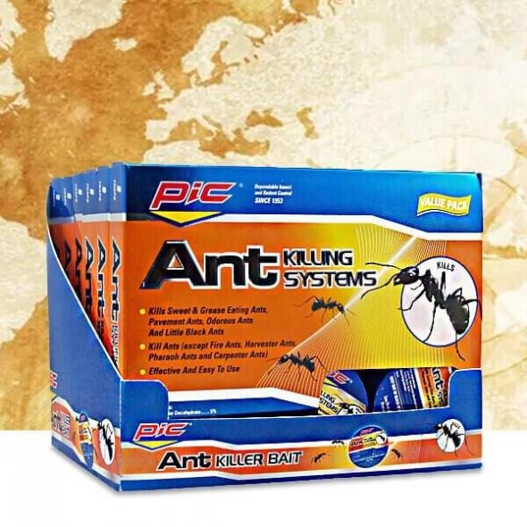 cardboard-ant-bait-boxes