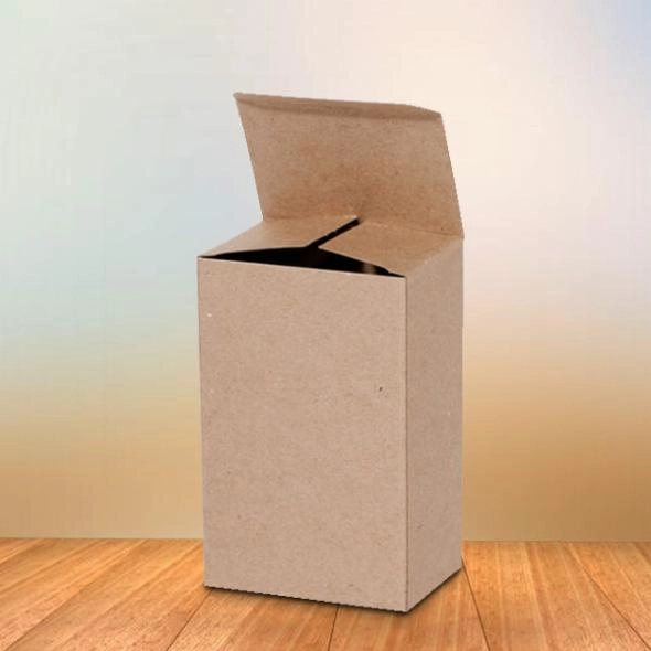 cardboard-reverse-tuck-end-with-lock