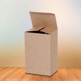 cardboard-reverse-tuck-end-with-lock