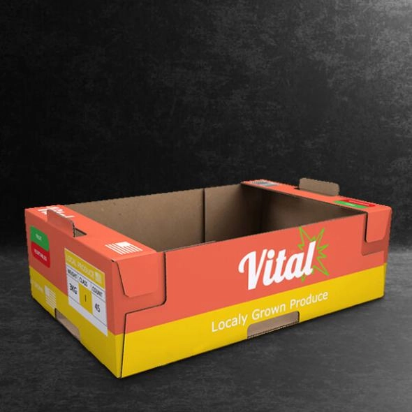 pinch-lock-tray-boxes-wholesale