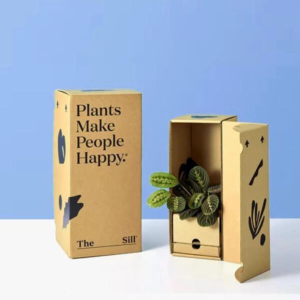 plant-packaging-boxes