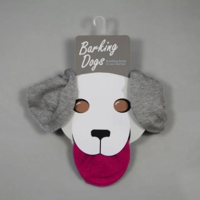 custom-display-socks-boxes