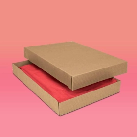 custom-printed-kraft-apparel-boxes