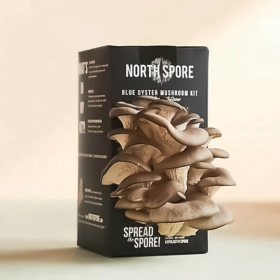 Custom Cardboard Mushroom Boxes (2)