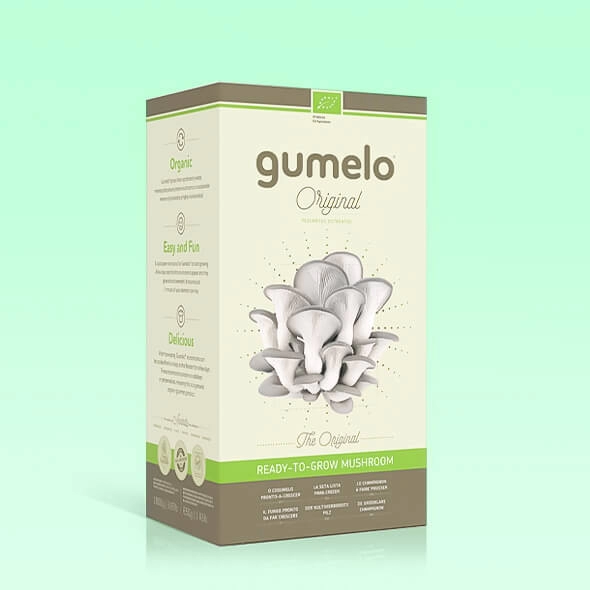 mushroom growing kit boxes packaging