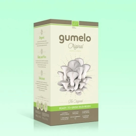 mushroom growing kit boxes packaging