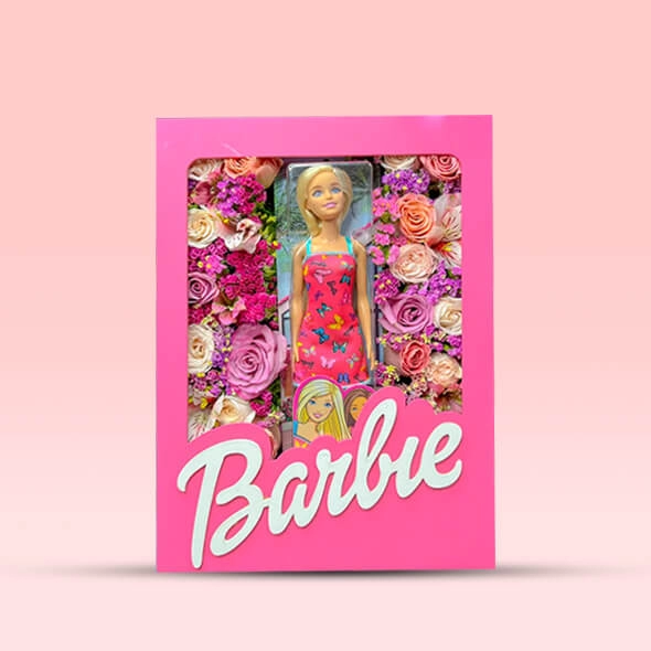 custom barbie doll boxes