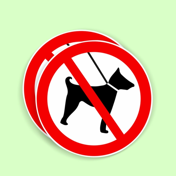 custom permanent vinyl stickers