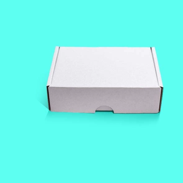 White Kraft packaging