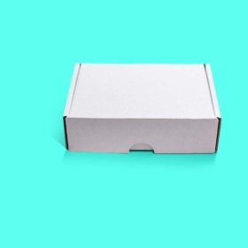 White Kraft packaging