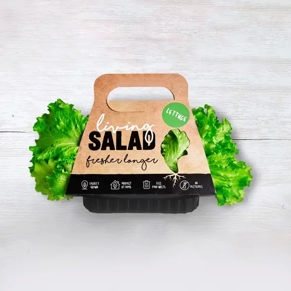 Custom Salad Packaging Wholesale