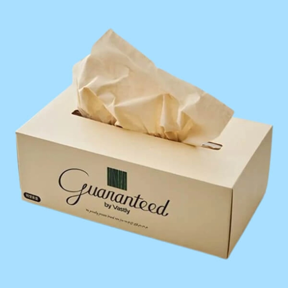 Custom Kraft Tissue Cover Packaging